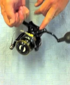 Default -Momoi Sales Store image 1