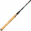 Dobyns Champion XP Spinning Rods -Momoi Sales Store image 1047
