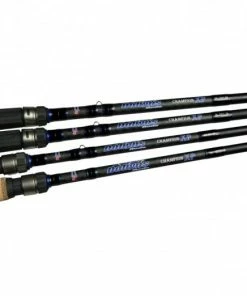 Dobyns Champion XP Spinning Rods -Momoi Sales Store image 1050