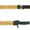 Shimano Teramar Southeast Inshore Spinning Rods -Momoi Sales Store image 1166