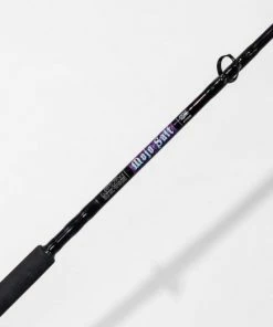 Boat Casting Rods St Croix Mojo Salt Conventional Rods -Momoi Sales Store image 1220