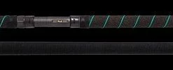 Phenix Abyss Casting Rods -Momoi Sales Store image 1236