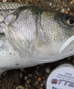 Trailers Otter Short Tails -Momoi Sales Store image 1422