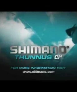 Conventional Reels Penn Special Senator Reels