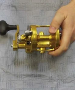 Conventional Reels Avet MXL 6/4 MC RAPTOR Lever Drag Reel -Momoi Sales Store image 211