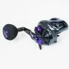 Daiwa 2021 Prorex TWS Baitcasting Reels -Momoi Sales Store image 317