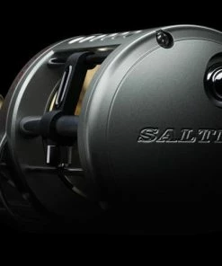 Conventional Reels Daiwa Saltist Levelwind Reels -Momoi Sales Store image 373