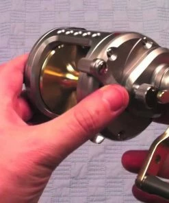 Conventional Reels Daiwa Saltist Levelwind Reels -Momoi Sales Store image 374