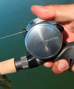 Shimano Calcutta D Baitcasting Reels 19 Shimano Calcutta D Baitcasting Reels -Momoi Sales Store image 38