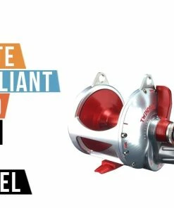 Conventional Reels Accurate Boss Valiant BV2-800 2-Speed Lever Drag Reels -Momoi Sales Store image 436