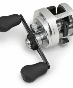 Shimano Calcutta D Baitcasting Reels 25 Shimano Calcutta D Baitcasting Reels -Momoi Sales Store image 44