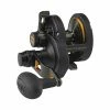 Conventional Reels Penn Fathom 2-Speed Lever Drag Reels 1 Conventional Reels Penn Fathom 2-Speed Lever Drag Reels -Momoi Sales Store image 445