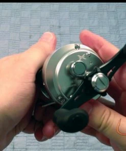 Shimano Calcutta D Baitcasting Reels 27 Shimano Calcutta D Baitcasting Reels -Momoi Sales Store image 46