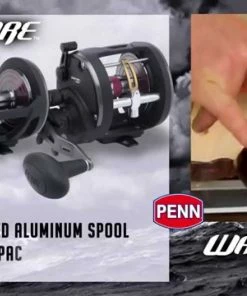 Conventional Reels Penn Warfare Star Drag Reels 7 Conventional Reels Penn Warfare Star Drag Reels -Momoi Sales Store image 573