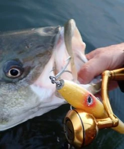 Penn Slammer III Spinning Reels -Momoi Sales Store image 609