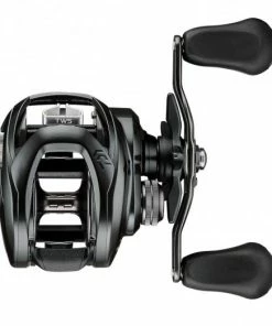 Daiwa Tatula TW300 Baitcasting Reels 7 Daiwa Tatula TW300 Baitcasting Reels -Momoi Sales Store image 619