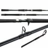 Shimano Teramar NE Inshore Casting Rods -Momoi Sales Store image 737