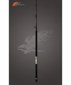 Casting Rods Phenix Axis Casting Rail Rods