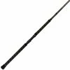 Phenix Abyss Spinning Rods -Momoi Sales Store image 953