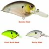 Spro Little John MD 50 Crankbaits -Momoi Sales Store image 116