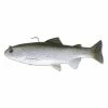 Huddleston Deluxe 8" Trout Swimbaits 2 Huddleston Deluxe 8" Trout Swimbaits -Momoi Sales Store image 154