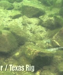 Keitech Easy Shiner Swimbaits -Momoi Sales Store image 331