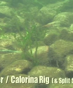 Keitech Easy Shiner Swimbaits -Momoi Sales Store image 332