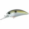 Crankbaits Duo Realis Crank M62 5A Crankbait -Momoi Sales Store image 351