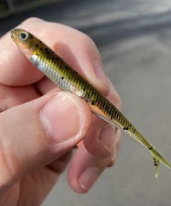 Soft Plastics Fish Arrow Flash-J Split