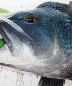 Lure Accessories Tsunami Glass Minnow Teasers 7 Lure Accessories Tsunami Glass Minnow Teasers -Momoi Sales Store image 366