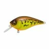 Crankbaits Megabass Knuckle LD Crankbait -Momoi Sales Store image 468