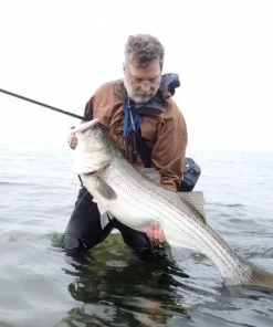 Hard Baits Tsunami Talkin Popper XD 12 Hard Baits Tsunami Talkin Popper XD -Momoi Sales Store image 490