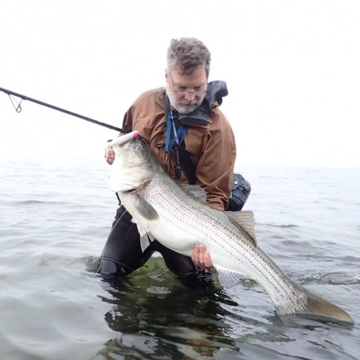 Hard Baits Tsunami Talkin Popper XD 5 Hard Baits Tsunami Talkin Popper XD - Image 3