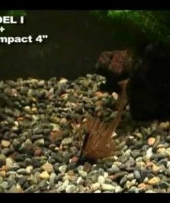 Soft Plastics Keitech Swing Impact Swimbaits -Momoi Sales Store image 529