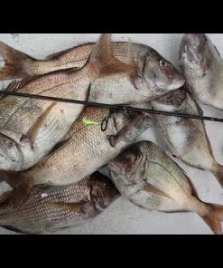 Jigs And Spoons S&S Bucktails John Skinner Porgy & Blackfish Jigs -Momoi Sales Store image 558