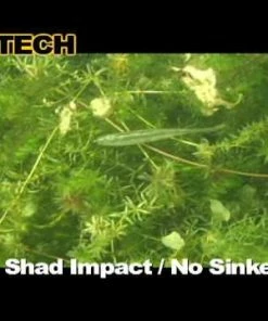 Soft Plastics Keitech Shad Impact 8 Soft Plastics Keitech Shad Impact -Momoi Sales Store image 584