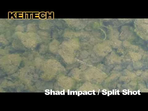 Soft Plastics Keitech Shad Impact 6 Soft Plastics Keitech Shad Impact - Image 4