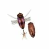 Hard Baits Duo Realis Dekashinmushi Cicada Bug -Momoi Sales Store image 80